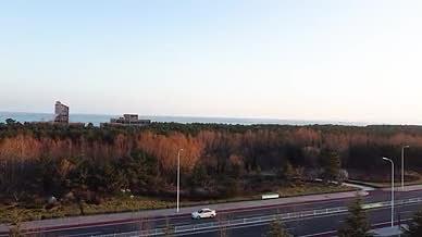 无人机航拍黑松林升高见海岸视频的预览图